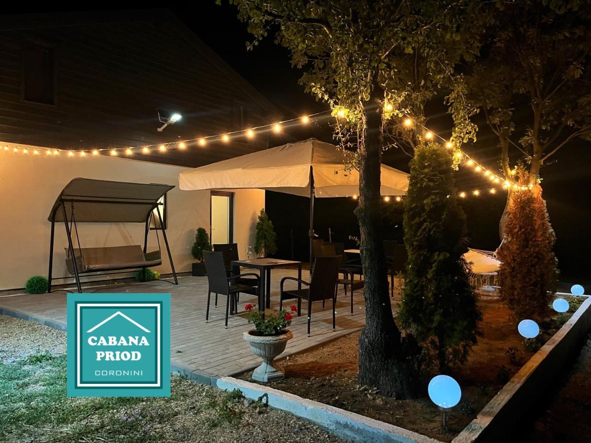 Cabana Priod Coronini Pescari Exterior foto